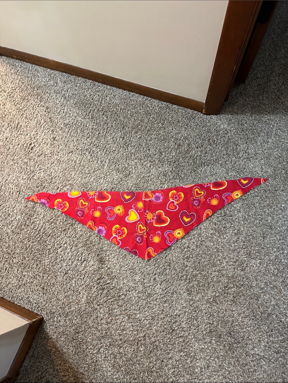 Pet Bandanna